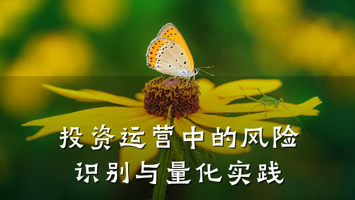 投资运营中的风险识别与量化实践
