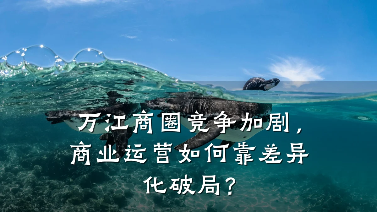 万江商圈竞争加剧,商业运营如何靠差异化破局?