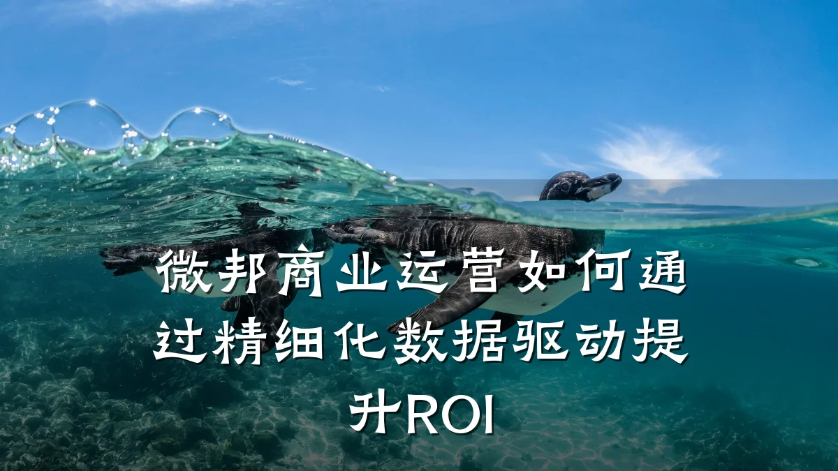 微邦商业运营如何通过精细化数据驱动提升ROI