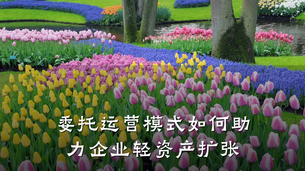 委托运营模式如何助力企业轻资产扩张