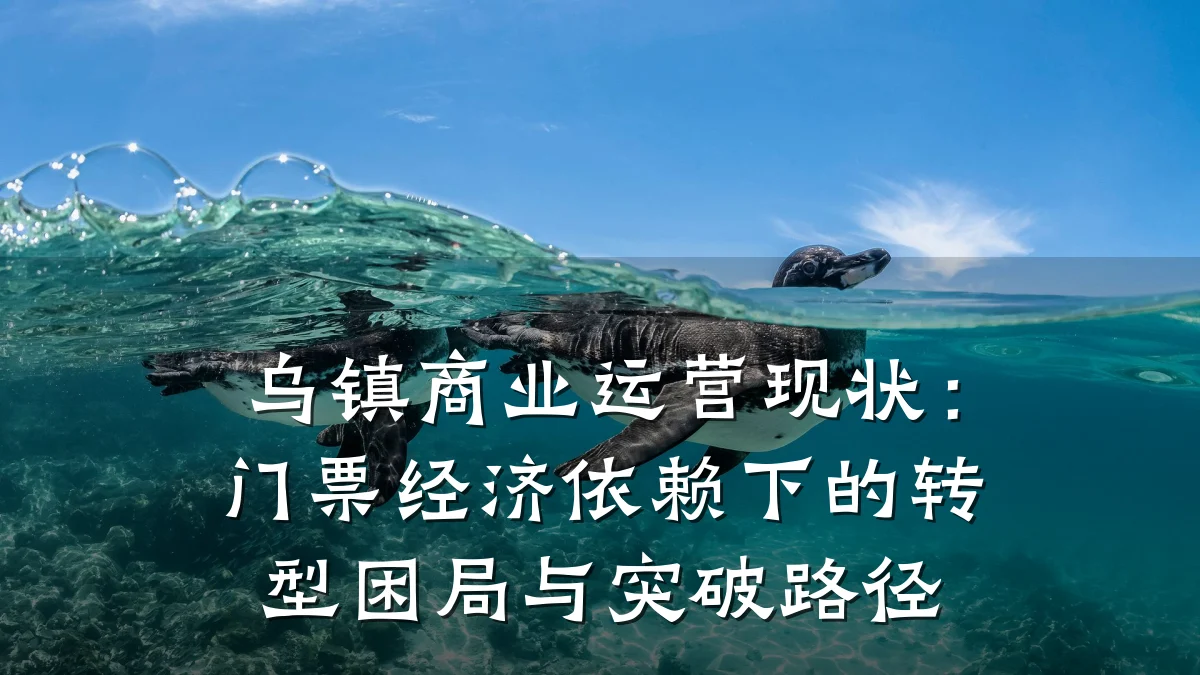 乌镇商业运营现状:门票经济依赖下的转型困局与突破路径