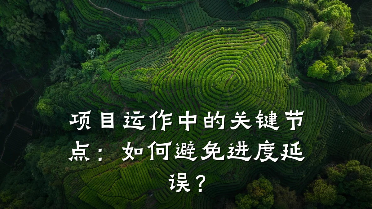 项目运作中的关键节点:如何避免进度延误?
