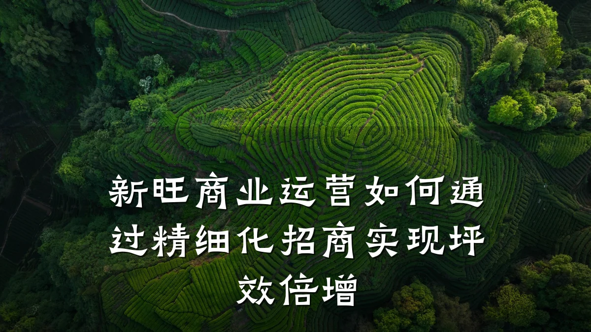 新旺商业运营如何通过精细化招商实现坪效倍增