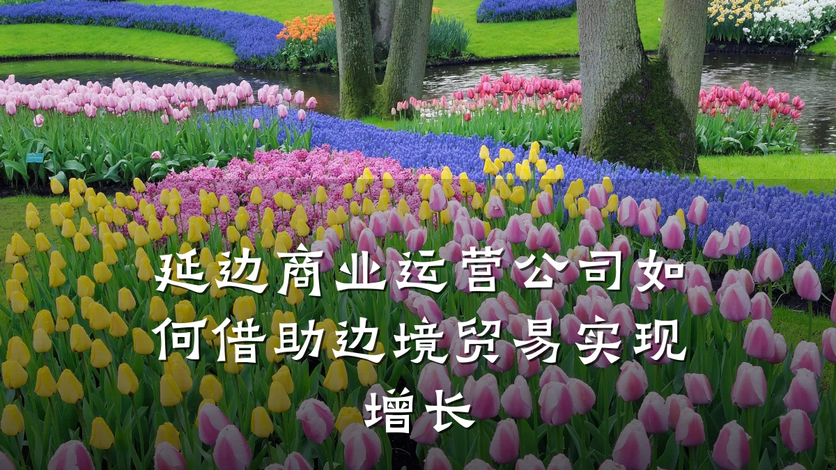 延边商业运营公司如何借助边境贸易实现增长