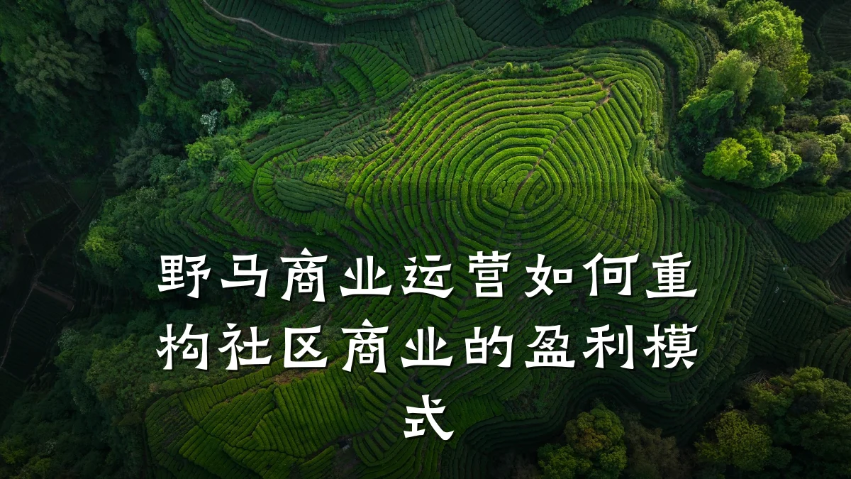 野马商业运营如何重构社区商业的盈利模式