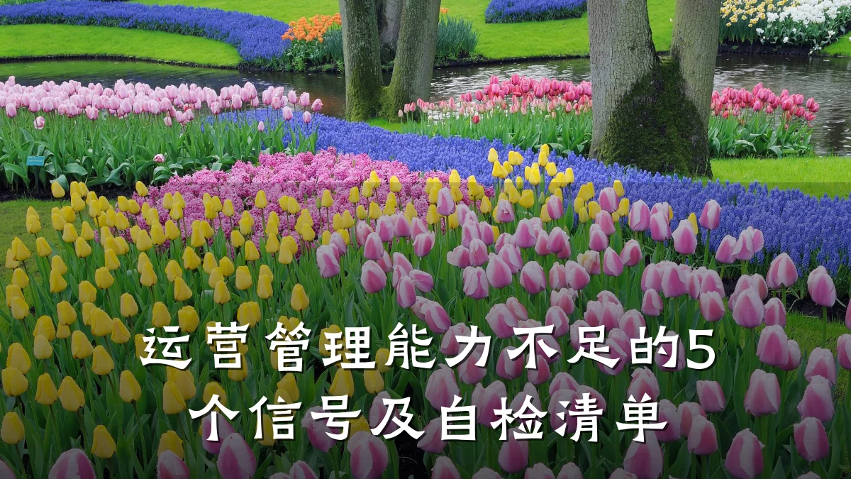 运营管理能力不足的5个信号及自检清单