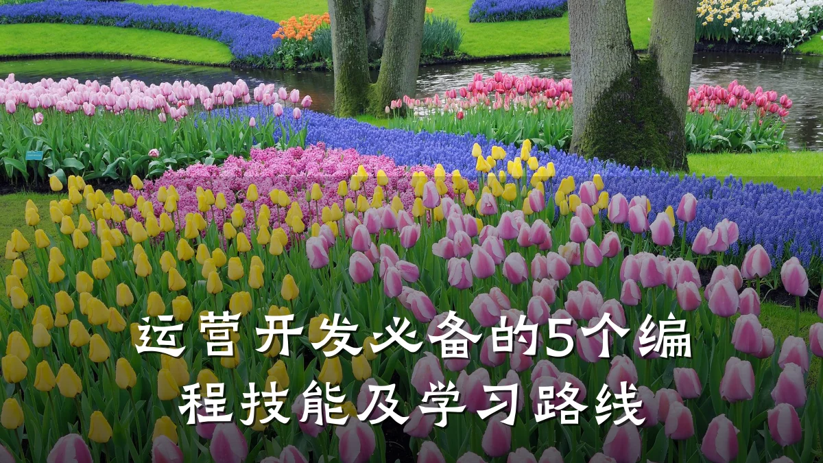 运营开发必备的5个编程技能及学习路线