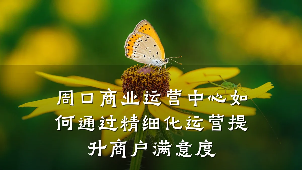 周口商业运营中心如何通过精细化运营提升商户满意度