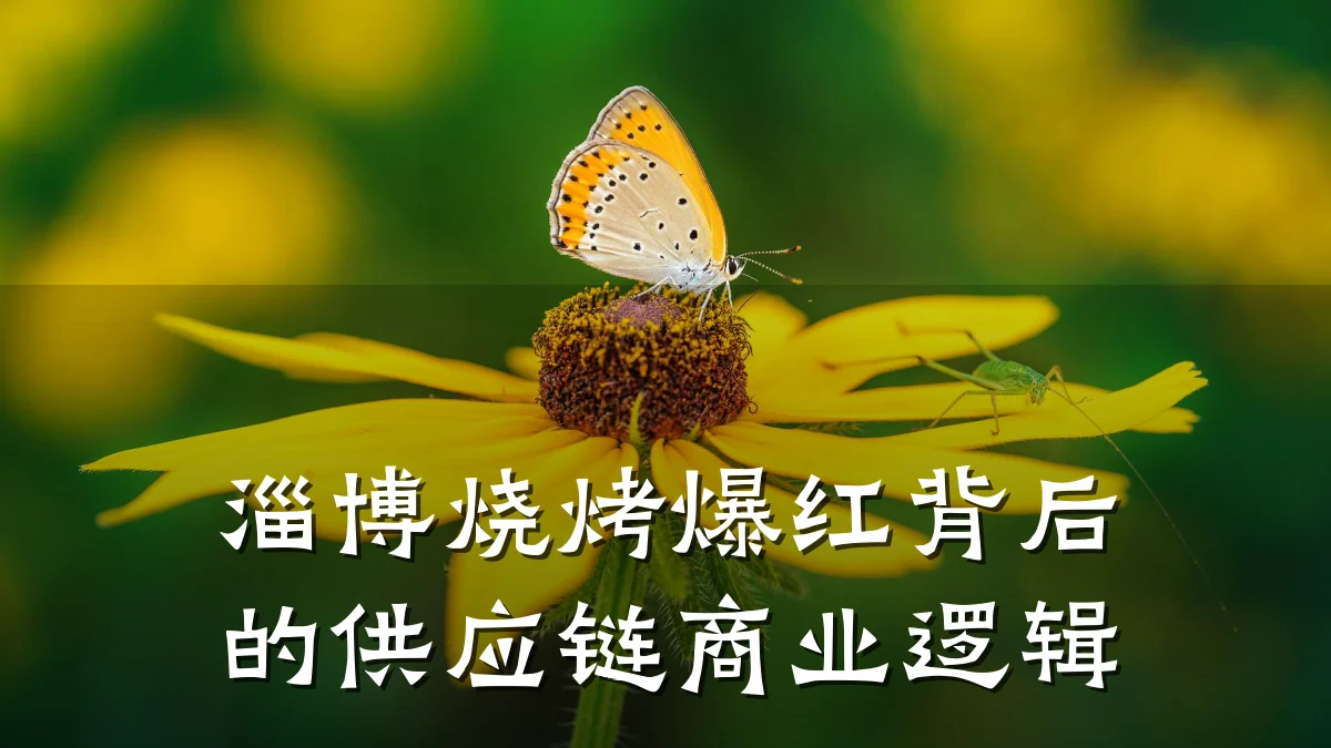 淄博烧烤爆红背后的供应链商业逻辑