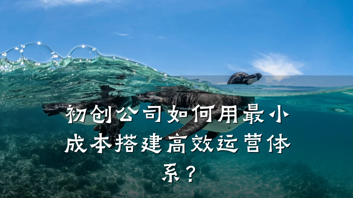 初创公司如何用最小成本搭建高效运营体系?