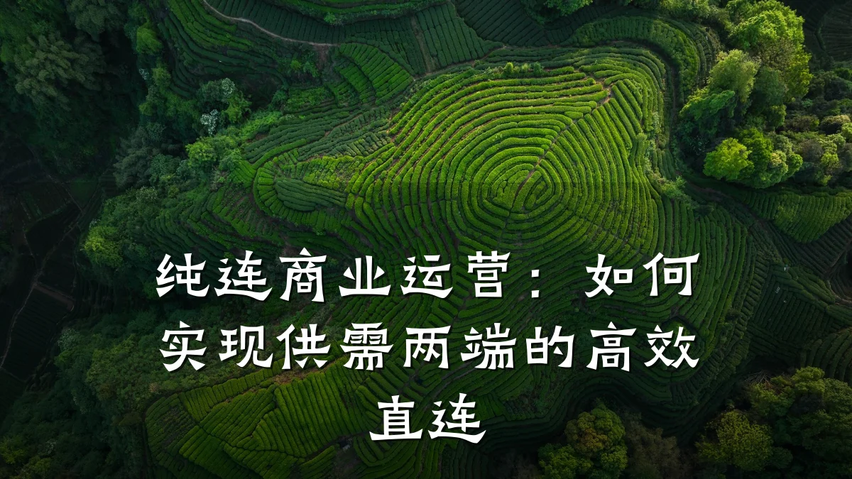 纯连商业运营:如何实现供需两端的高效直连