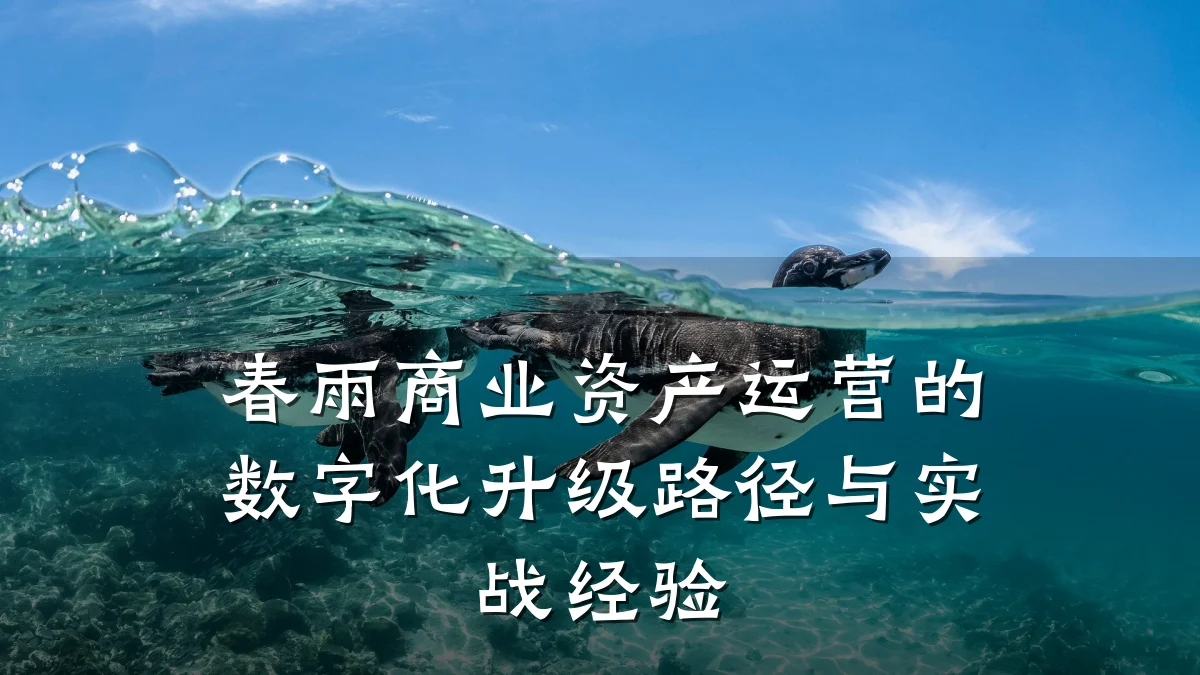 春雨商业资产运营的数字化升级路径与实战经验