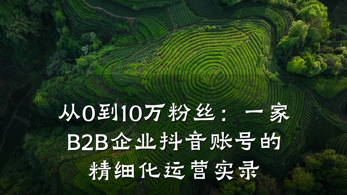 从0到10万粉丝:一家B2B企业抖音账号的精细化运营实录