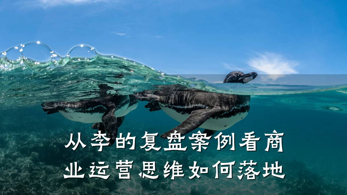 从李的复盘案例看商业运营思维如何落地
