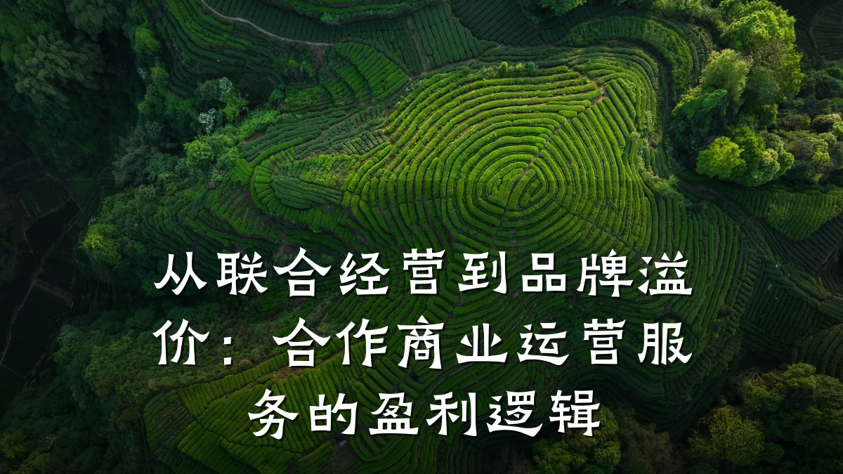从联合经营到品牌溢价:合作商业运营服务的盈利逻辑