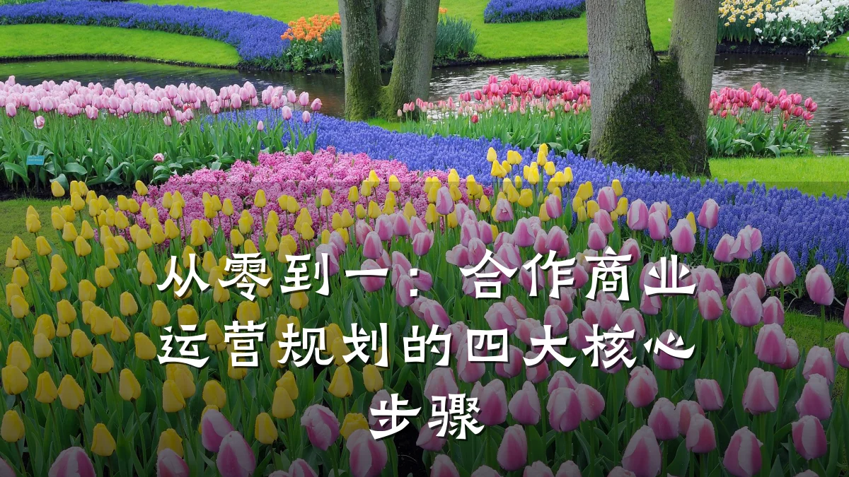 从零到一:合作商业运营规划的四大核心步骤