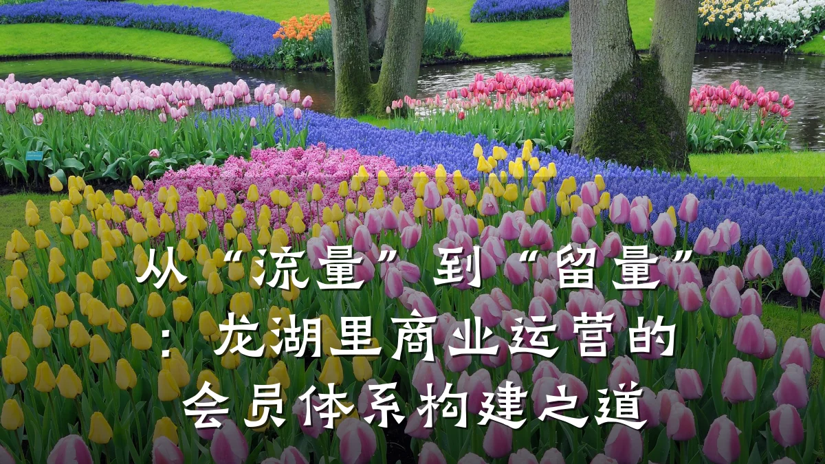 从“流量”到“留量”:龙湖里商业运营的会员体系构建之道