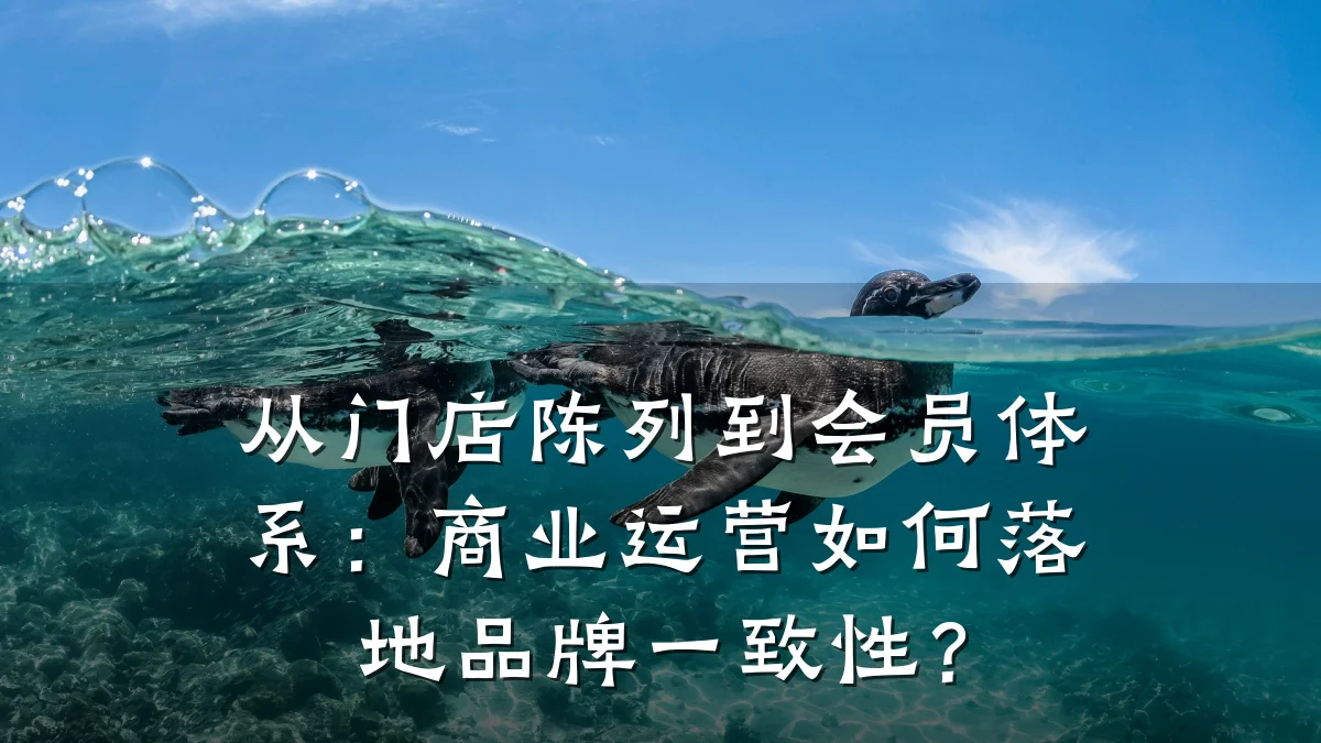 从门店陈列到会员体系:商业运营如何落地品牌一致性?