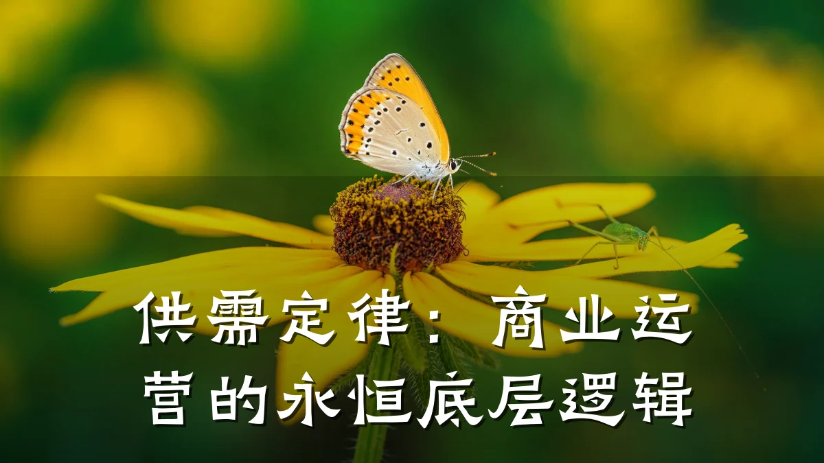 供需定律:商业运营的永恒底层逻辑