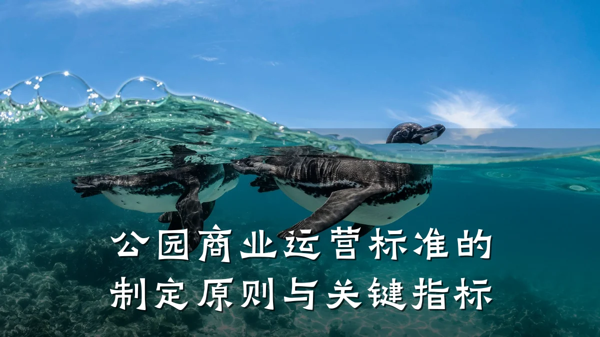 公园商业运营标准的制定原则与关键指标