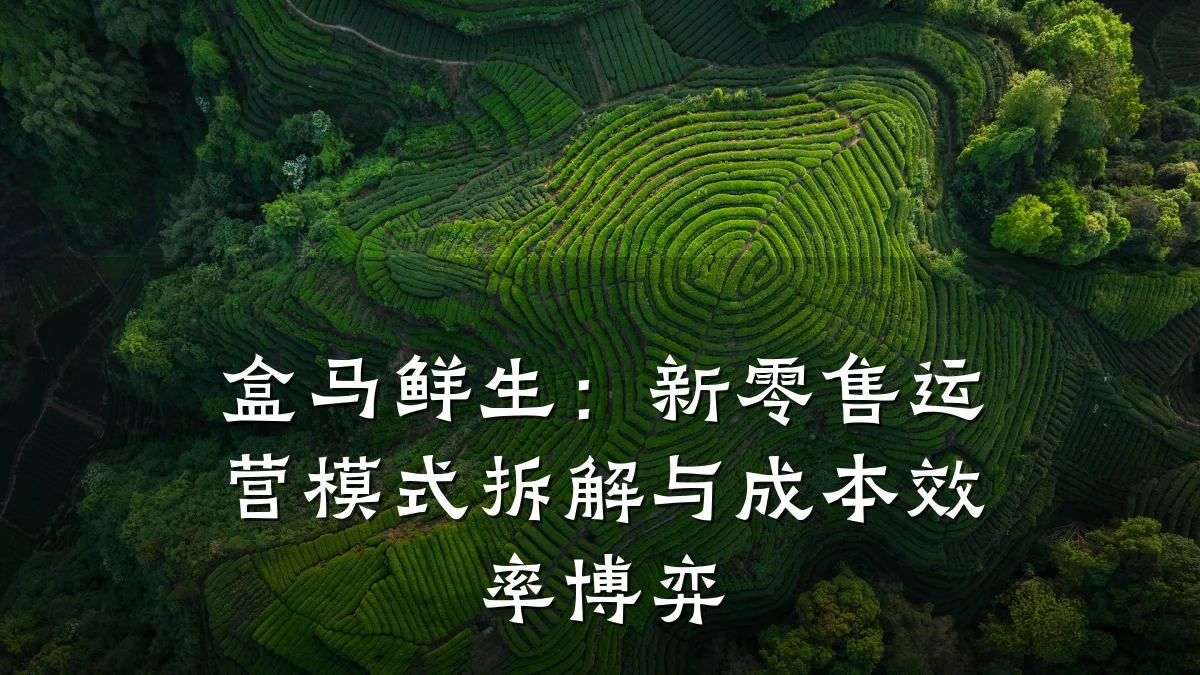 盒马鲜生:新零售运营模式拆解与成本效率博弈
