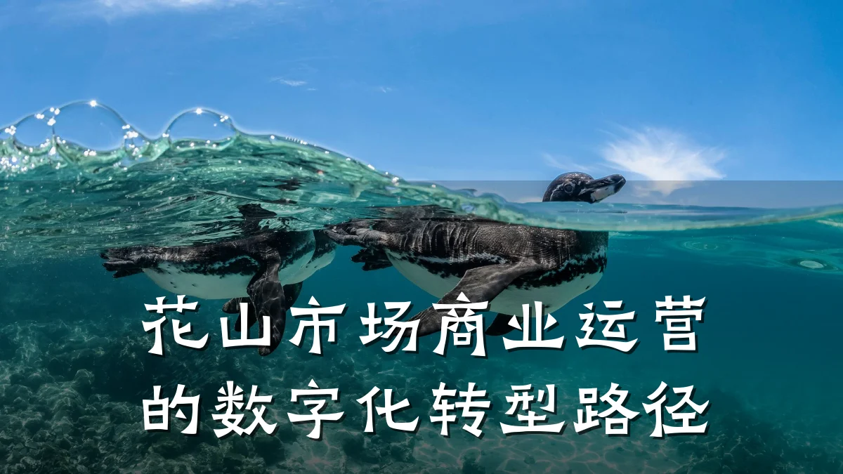 花山市场商业运营的数字化转型路径