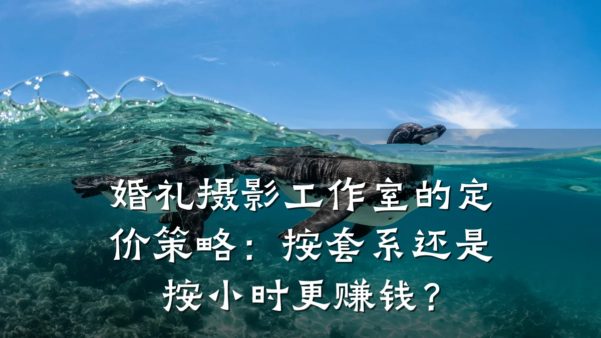 婚礼摄影工作室的定价策略:按套系还是按小时更赚钱?