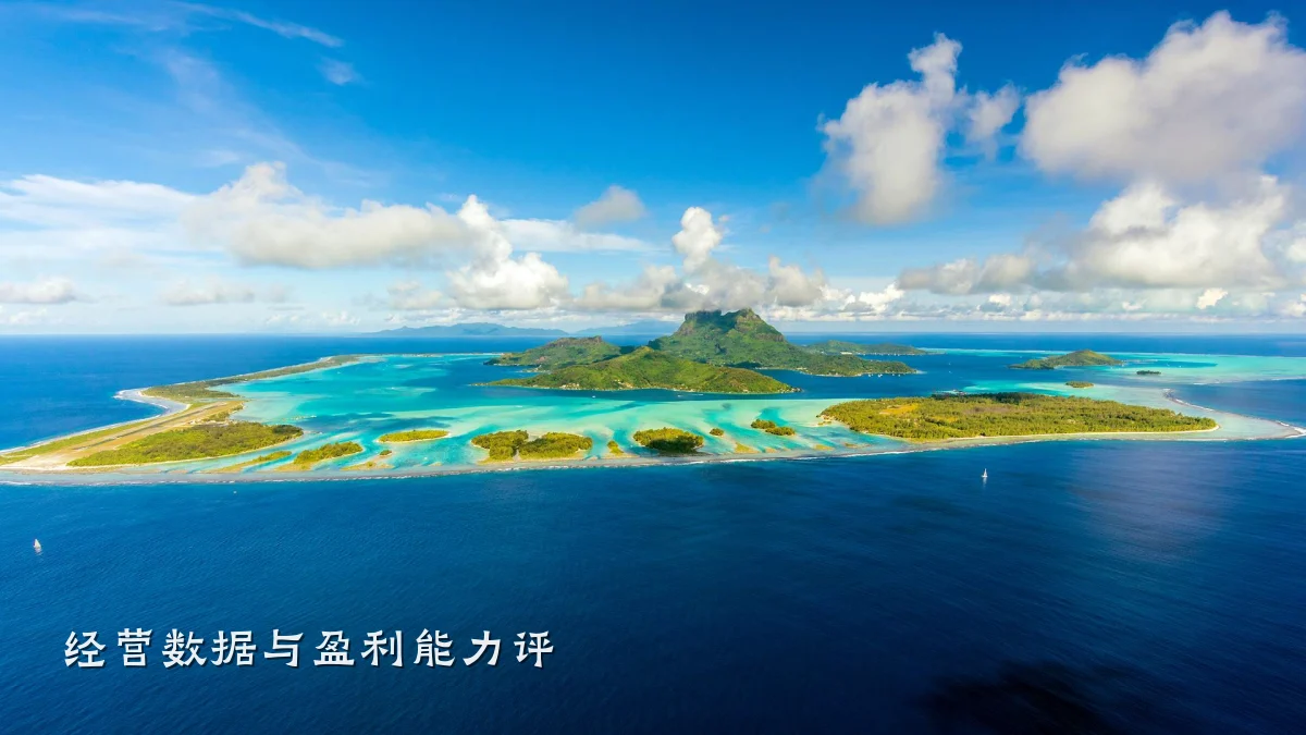 经营数据与盈利能力评