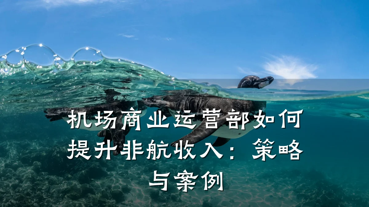 机场商业运营部如何提升非航收入:策略与案例