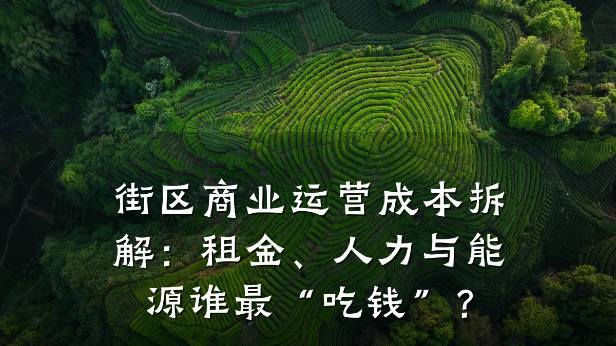 街区商业运营成本拆解:租金、人力与能源谁最“吃钱”?