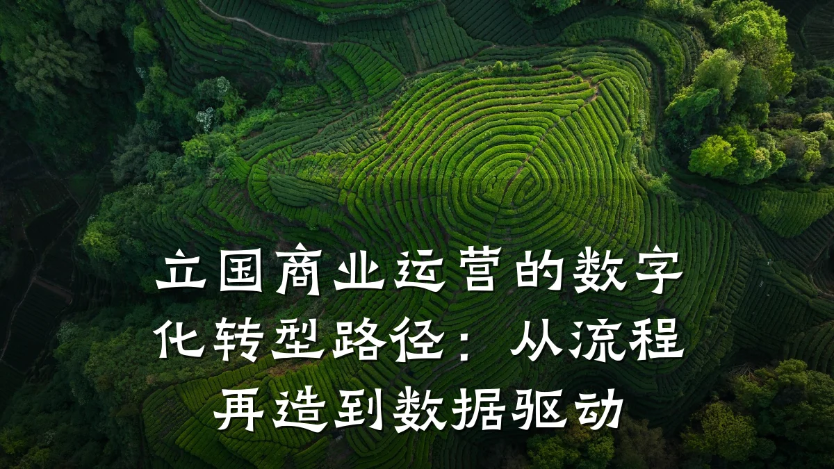 立国商业运营的数字化转型路径:从流程再造到数据驱动
