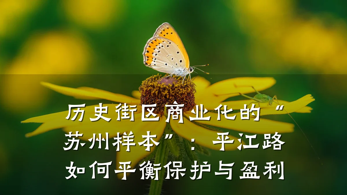历史街区商业化的“苏州样本”:平江路如何平衡保护与盈利
