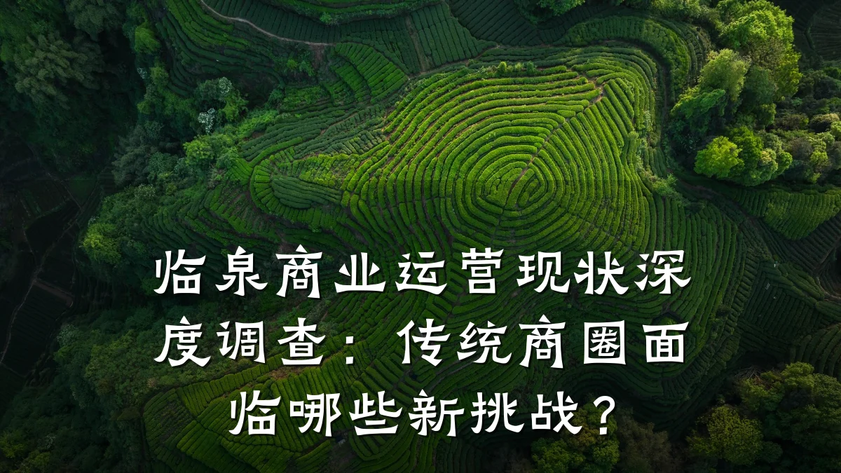 临泉商业运营现状深度调查:传统商圈面临哪些新挑战?
