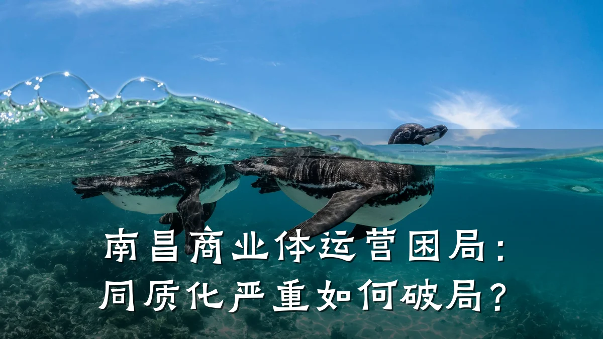 南昌商业体运营困局:同质化严重如何破局?