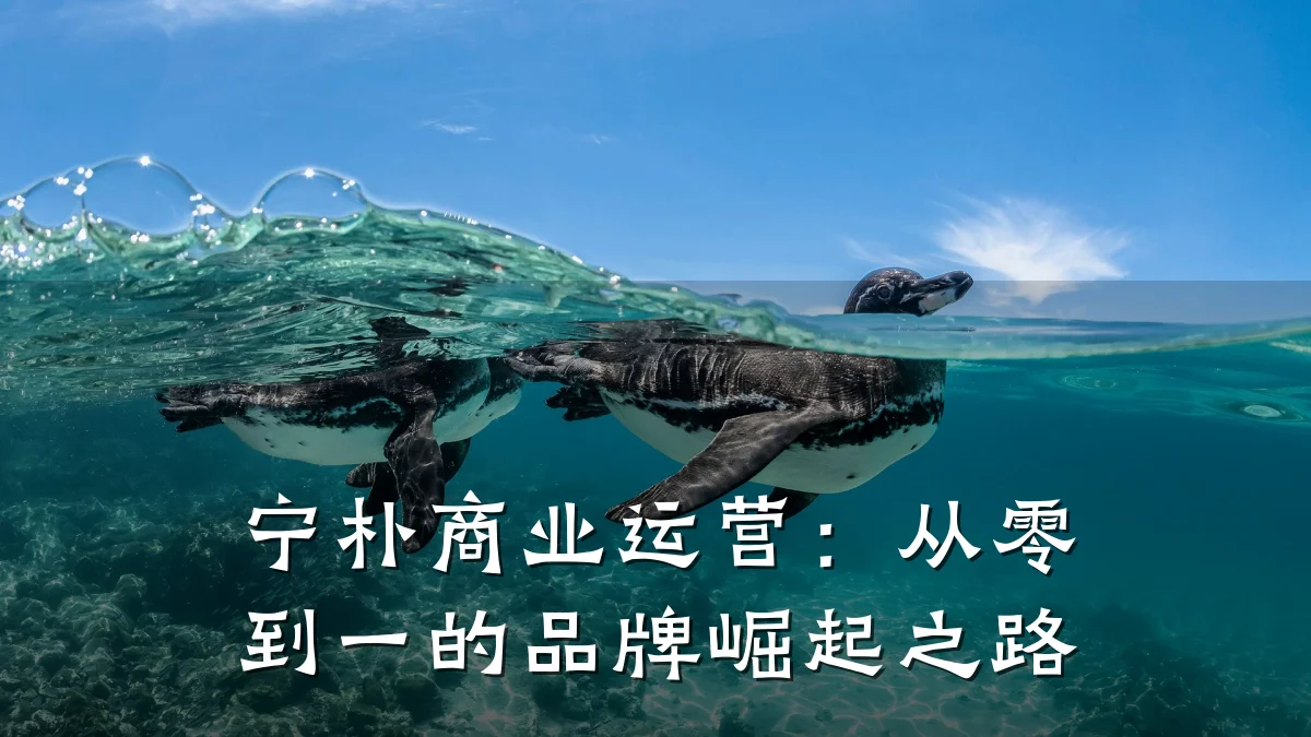 宁朴商业运营:从零到一的品牌崛起之路