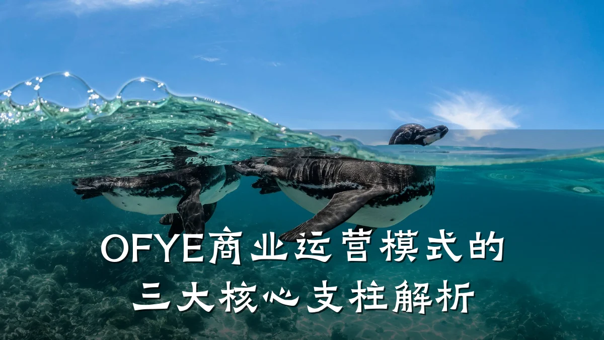 OFYE商业运营模式的三大核心支柱解析