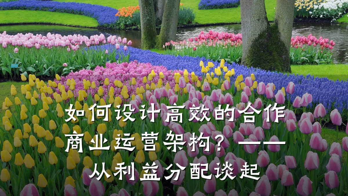 如何设计高效的合作商业运营架构?——从利益分配谈起