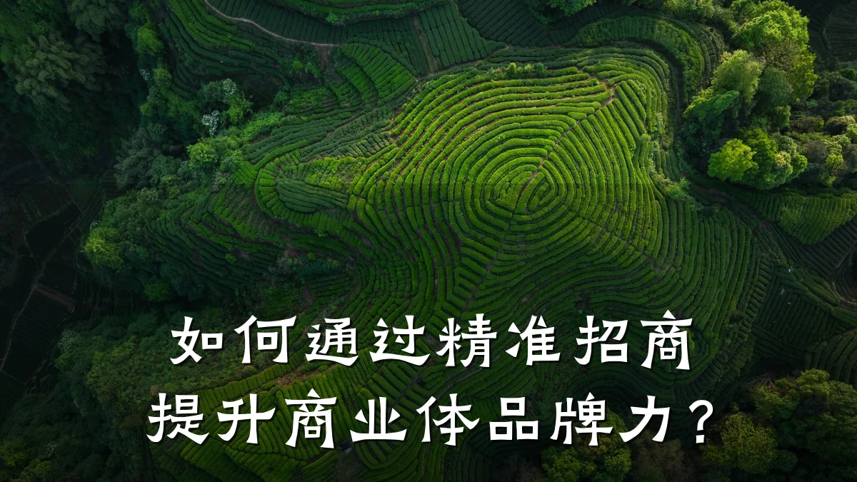 如何通过精准招商提升商业体品牌力?