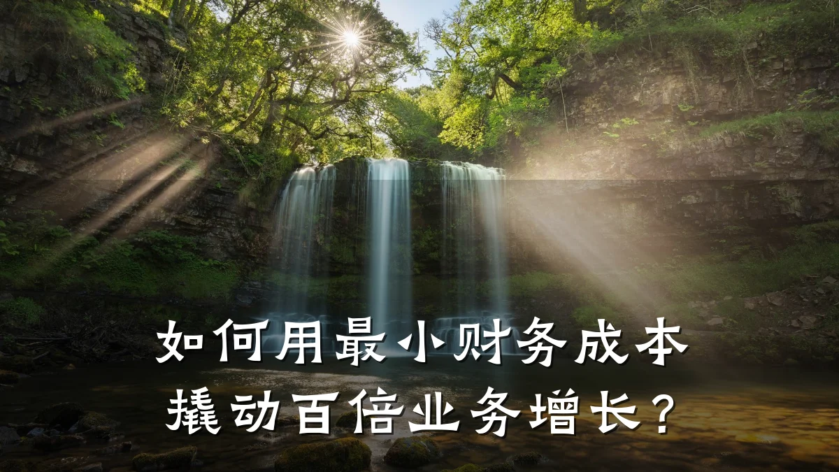 如何用最小财务成本撬动百倍业务增长?