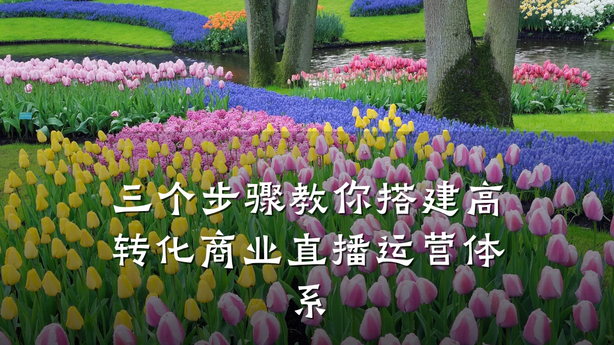 三个步骤教你搭建高转化商业直播运营体系