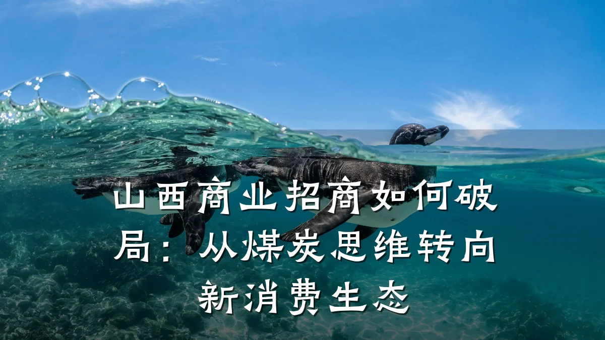 山西商业招商如何破局:从煤炭思维转向新消费生态