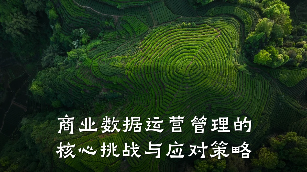 商业数据运营管理的核心挑战与应对策略