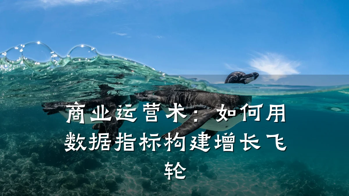 商业运营术:如何用数据指标构建增长飞轮