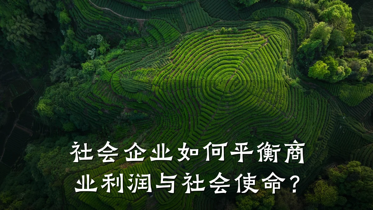 社会企业如何平衡商业利润与社会使命?
