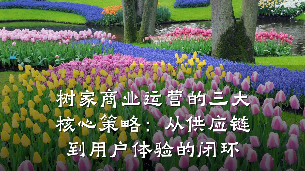 树家商业运营的三大核心策略:从供应链到用户体验的闭环