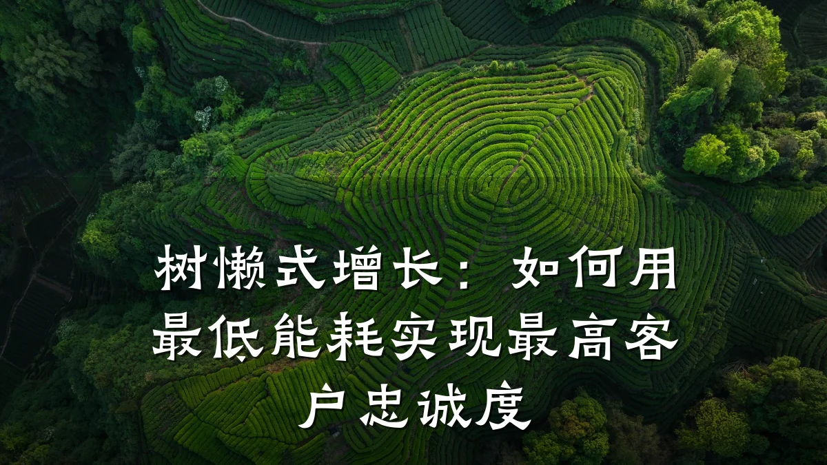 树懒式增长:如何用最低能耗实现最高客户忠诚度