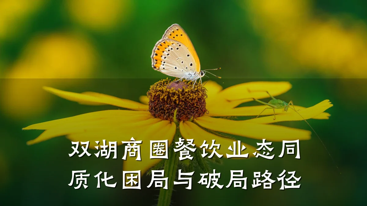 双湖商圈餐饮业态同质化困局与破局路径