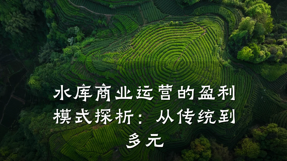 水库商业运营的盈利模式探析:从传统到多元