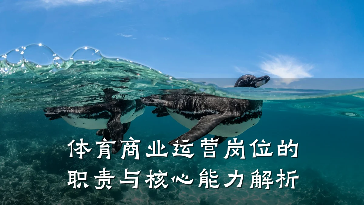 体育商业运营岗位的职责与核心能力解析