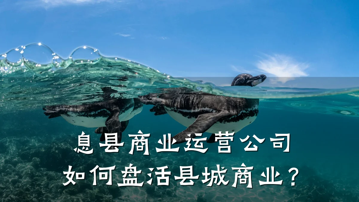 息县商业运营公司如何盘活县城商业?